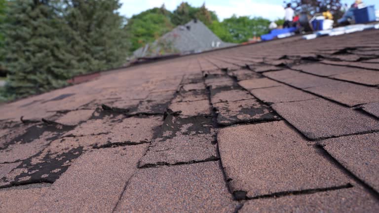 Best Roof Installation  in Cotati, CA