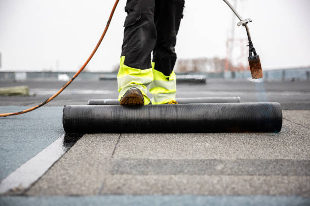 Best Roof Moss and Algae Removal  in Cotati, CA